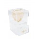 Mila Acrylic Baby Bijou - Champagne