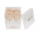 Mila Acrylic Mini Bijou - Champagne