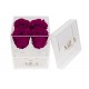 Mila Acrylic Mini Bijou - Fuchsia