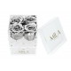 Mila Acrylic Mini Bijou - Metallic Silver