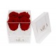 Mila Acrylic Mini Bijou - Rouge Amour