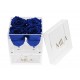 Mila Acrylic Mini Bijou - Royal blue