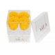 Mila Acrylic Mini Bijou - Yellow Sunshine