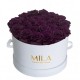 Mila Classique Large Blanc Classique - Velvet purple