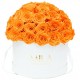 Mila Classique Large Dome Blanc Classique - Orange Bloom