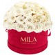 Mila Classique Large Dome Burgundy - White Cream