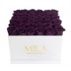 Mila Classique Luxe Blanc Classique - Velvet purple