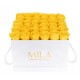 Mila Classique Luxe Blanc Classique - Yellow Sunshine
