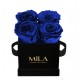Mila Classique Mini Noir Classique - Royal blue
