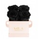 Mila Classique Mini Rose Classique - Black Velvet