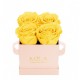 Mila Classique Mini Rose Classique - Yellow Sunshine