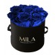 Mila Classique Small Noir Classique - Royal blue