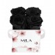 Mila Limited Edition Flower Mini - Black Velvet