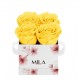 Mila Limited Edition Flower Mini - Yellow Sunshine