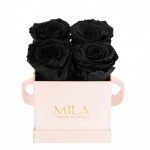  Mila-Roses-00001 Mila Classique Mini Rose Classique - Black Velvet