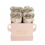  Mila-Roses-00004 Mila Classique Mini Rose Classique - Haute Couture