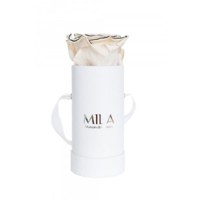 Produit Mila-Roses-00009 Mila Classique Baby Blanc Classique - Haute Couture