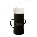  Mila-Roses-00011 Mila Classique Baby Noir Classique - White Cream