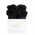  Mila-Roses-00019 Mila Classique Mini Blanc Classique - Black Velvet