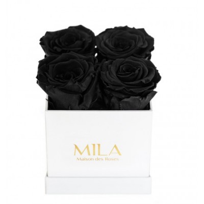 Produit Mila-Roses-00019 Mila Classique Mini Blanc Classique - Black Velvet