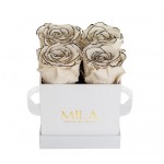  Mila-Roses-00021 Mila Classique Mini Blanc Classique - Haute Couture