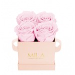  Mila-Roses-00022 Mila Classique Mini Rose Classique - Pink Blush