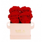  Mila-Roses-00024 Mila Classique Mini Rose Classique - Rouge Amour
