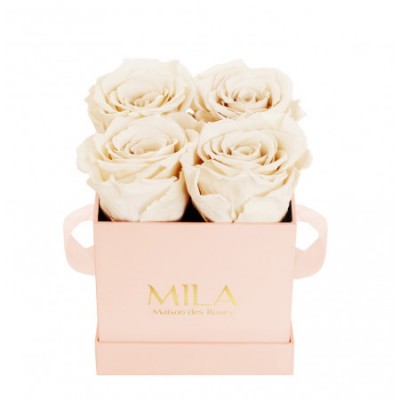 Produit Mila-Roses-00027 Mila Classique Mini Rose Classique - Champagne