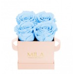  Mila-Roses-00032 Mila Classique Mini Rose Classique - Baby blue