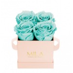  Mila-Roses-00033 Mila Classique Mini Rose Classique - Aquamarine