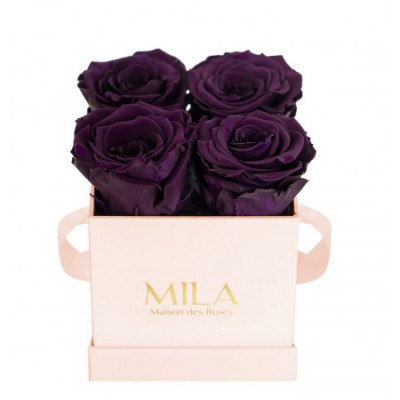 Produit Mila-Roses-00038 Mila Classique Mini Rose Classique - Velvet purple