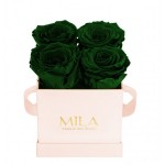  Mila-Roses-00040 Mila Classique Mini Rose Classique - Emeraude