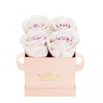  Mila-Roses-00041 Mila Classique Mini Rose Classique - Pink bottom