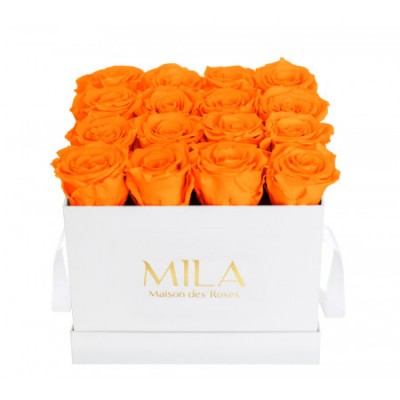 Produit Mila-Roses-00047 Mila Classique Medium Blanc Classique - Orange Bloom