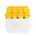  Mila-Roses-00052 Mila Classique Medium Blanc Classique - Yellow Sunshine