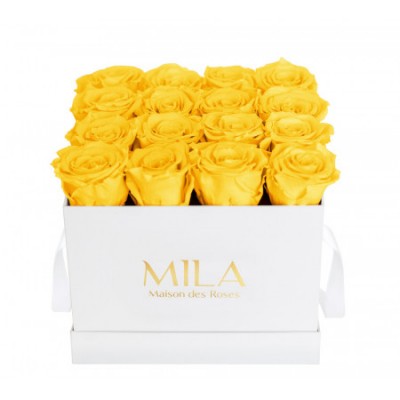 Produit Mila-Roses-00052 Mila Classique Medium Blanc Classique - Yellow Sunshine