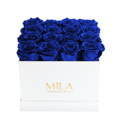 Produit Mila-Roses-00055 Mila Classique Medium Blanc Classique - Royal blue