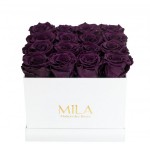  Mila-Roses-00059 Mila Classique Medium Blanc Classique - Velvet purple