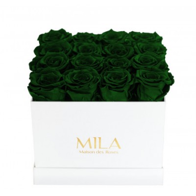 Produit Mila-Roses-00061 Mila Classique Medium Blanc Classique - Emeraude