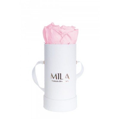 Produit Mila-Roses-00064 Mila Classique Baby Blanc Classique - Pink Blush