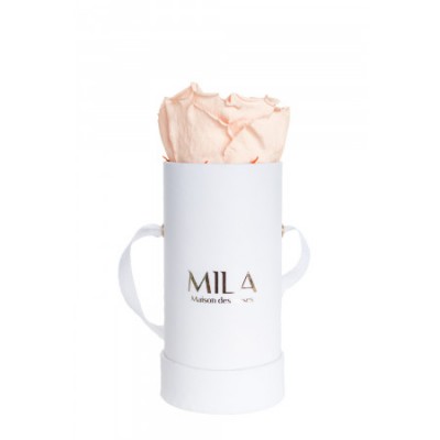 Produit Mila-Roses-00065 Mila Classique Baby Blanc Classique - Pure Peach
