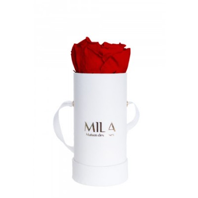 Produit Mila-Roses-00066 Mila Classique Baby Blanc Classique - Rouge Amour