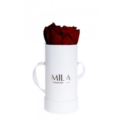 Produit Mila-Roses-00067 Mila Classique Baby Blanc Classique - Rubis Rouge