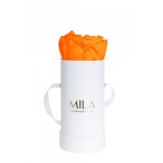  Mila-Roses-00068 Mila Classique Baby Blanc Classique - Orange Bloom