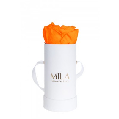 Produit Mila-Roses-00068 Mila Classique Baby Blanc Classique - Orange Bloom