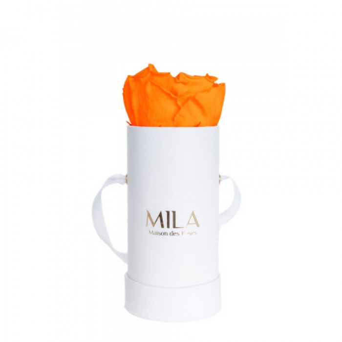 Mila Classique Baby Blanc Classique - Orange Bloom