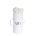  Mila-Roses-00069 Mila Classique Baby Blanc Classique - Champagne