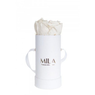 Produit Mila-Roses-00069 Mila Classique Baby Blanc Classique - Champagne