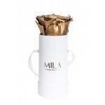  Mila-Roses-00070 Mila Classique Baby Blanc Classique - Metallic Gold