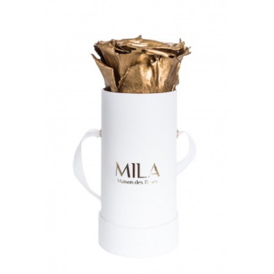 Produit Mila-Roses-00070 Mila Classique Baby Blanc Classique - Metallic Gold